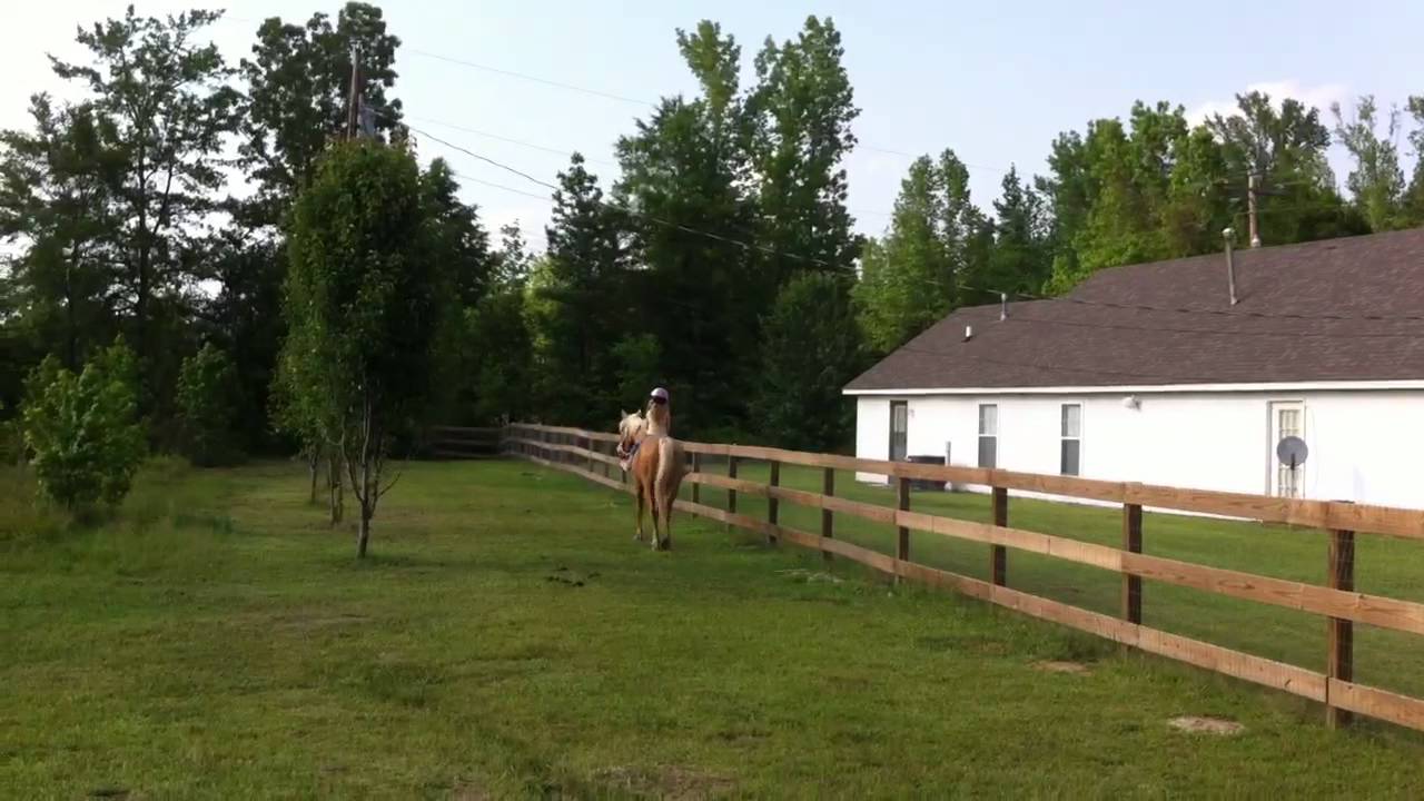 My daughter and her pony enjoying a relaxing Sunday ride =)