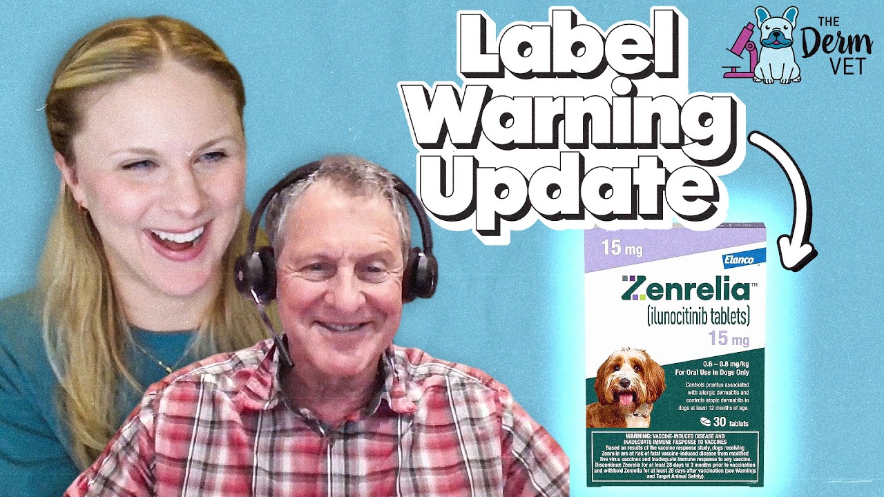 EP293 - The UPDATED Zenrelia Label Warning w/ Tom Lewis | The Derm Vet Podcast