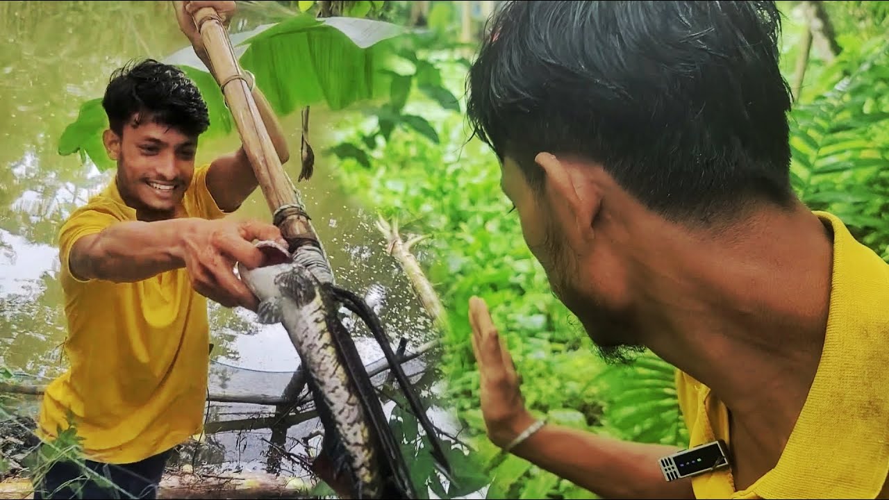 টেঠা দিয়ে খালে শোল মাছ শিকার/Bangladesh's Fishing Traditional Methods।