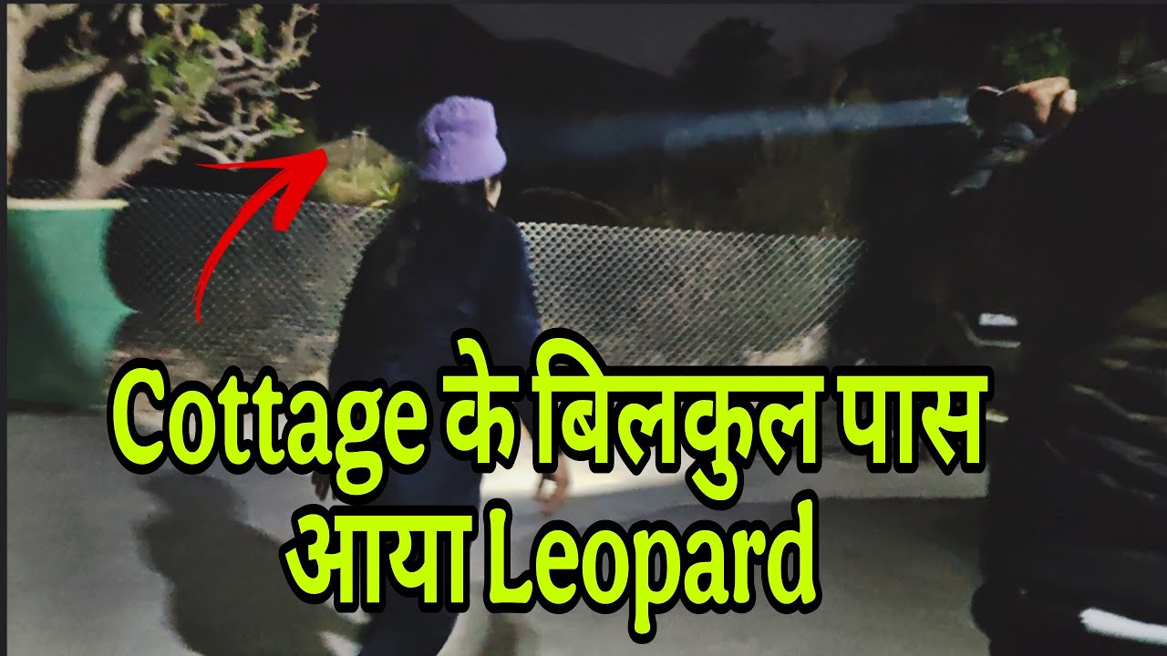 Leopard outside our Cottage| Jim Corbett National Park | Leopard Attack 