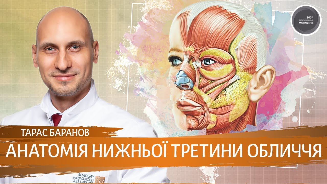 Анатомія нижньої третини обличчя з Тарасом Барановим