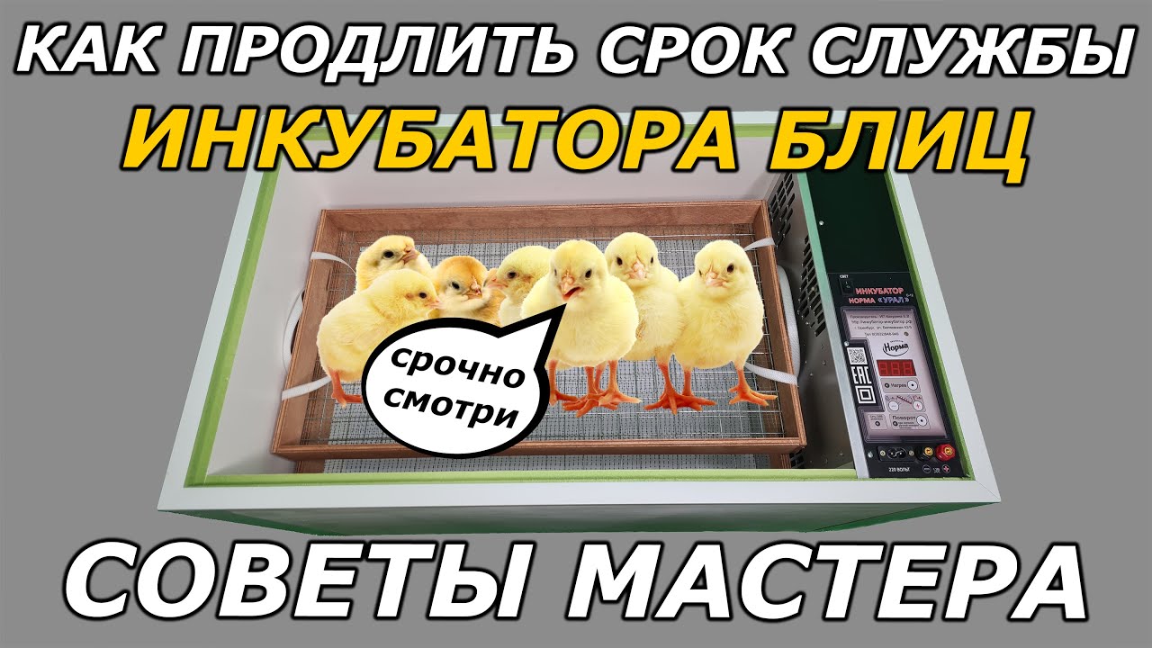 Норма Урал 200 Инструкция которую должен знать каждый
