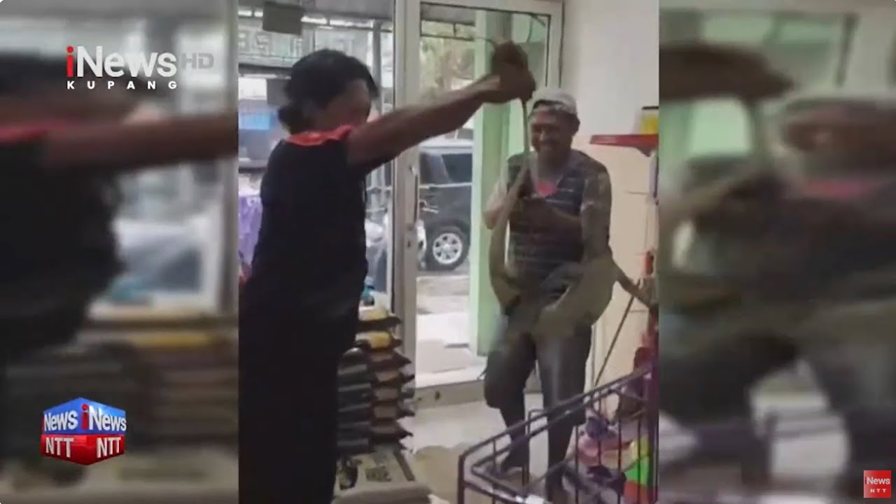 iNews NTT - Petugas Damkar Evakuasi Seekor Biawak yang Masuk ke dalam Toko