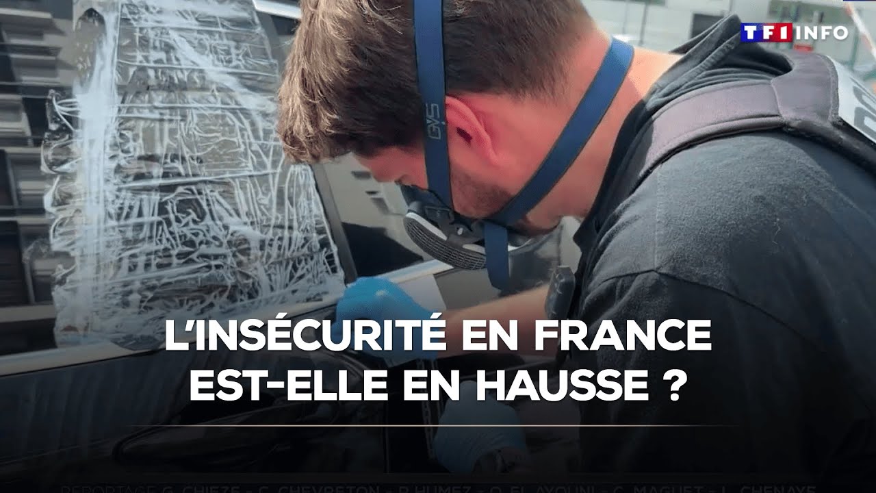 L'ins&eacute;curit&eacute; en France est-elle en hausse ?｜TF1 INFO