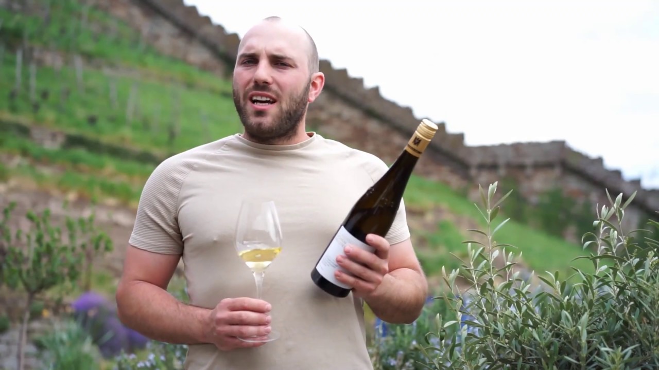 Virtuelle Weinprobe mit Joscha Dippon | 2017 Schlosswengert Riesling GG VDP.GROSSE LAGE