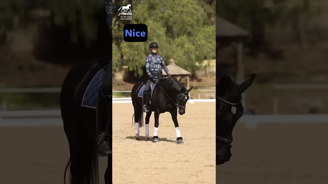 What Makes a Good Free Walk?