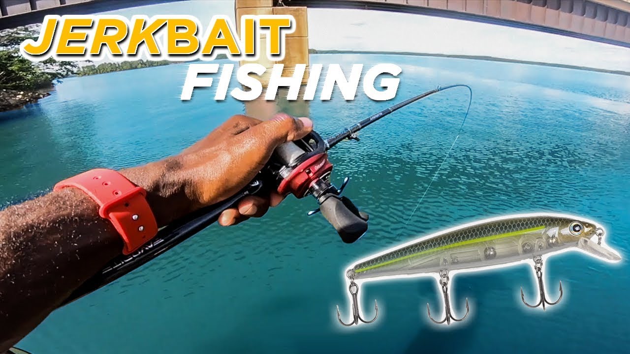 Jerkbait Bass Fishing In CLEAR Water w/ Brian Latimer!