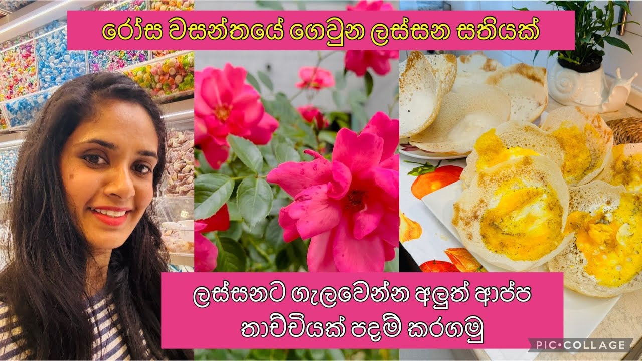 අලුත් ආප්ප තාච්චියෙන් ආප්ප🍳😋|ලස්සනට ගෙවුන සතියක්🥹💓#lifeinitaly 🇮🇹🇱🇰#how to season a hopper pan