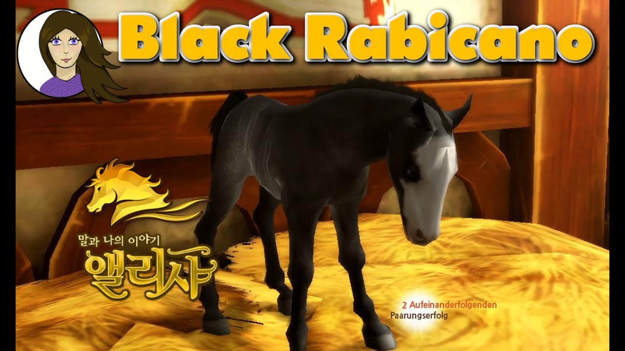 Black Rabicano Zucht ★ ALICIA ONLINE FOHLEN #05