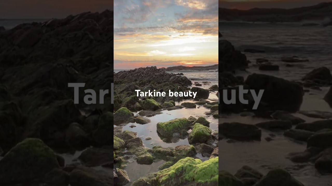 Tarkine beaches and rockpools#hiking #exploretasmania #discovertasmania #tasmania #tarkine #serene