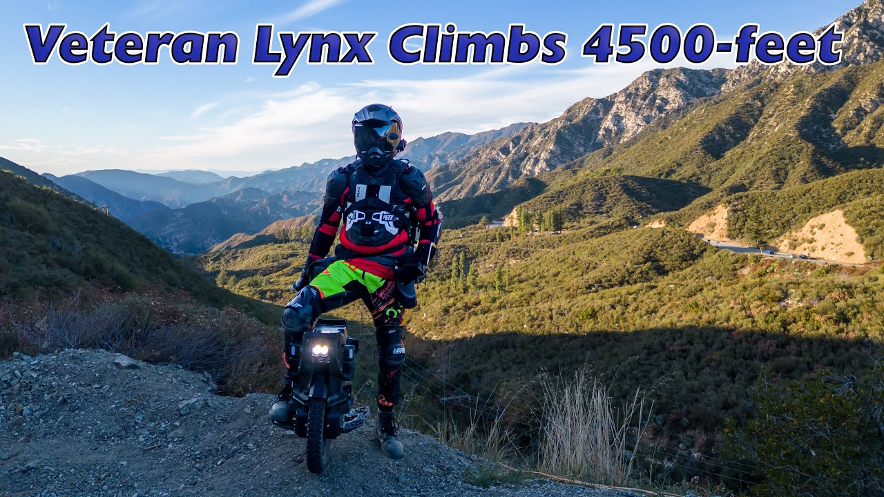 Veteran Lynx Climbs Mt Wilson