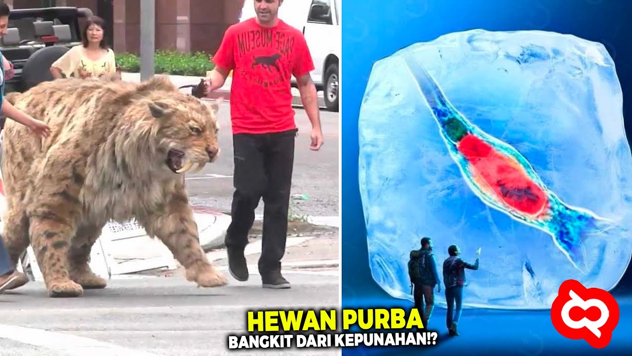 Sudah Punah Selama Ribuan Tahun! Hewan Purba ini Berhasil Dihidupkan Kembali Oleh Para Ilmuwan
