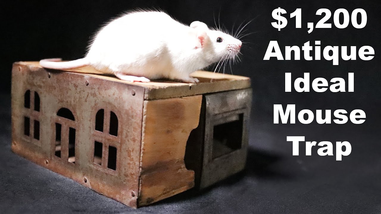 This $1200 Antique Mouse Trap Is A Failure. The Ideal From 1883. Mousetrap Monday