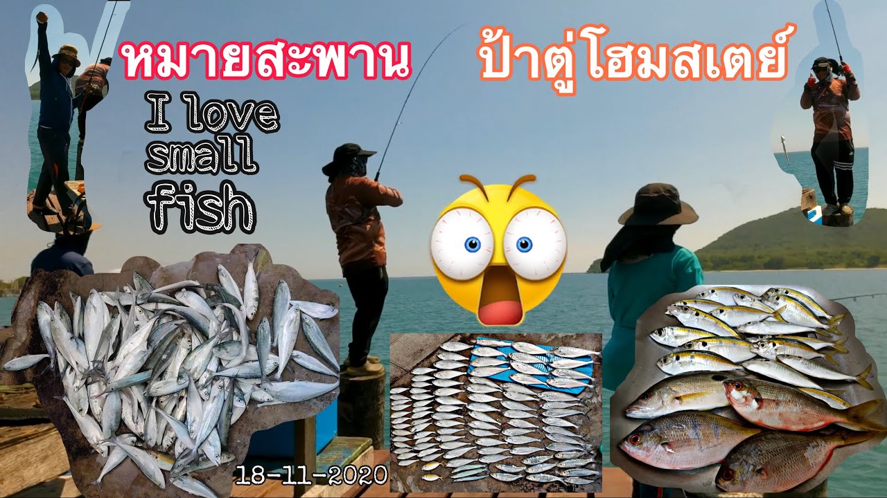 ตกปลาสะพานป้าตู่โฮมสเตย์ แสมสาร 18-11-2020