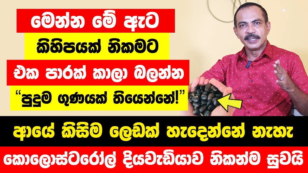"මෙන්න මේ ඇට කිහිපයක් එක පාරක් නිකමට කාලා බලන්න" | ආයේ කිසිම ලෙඩක් හැදෙන්නේ නැහැ | ඔබ මවිත වෙයි!