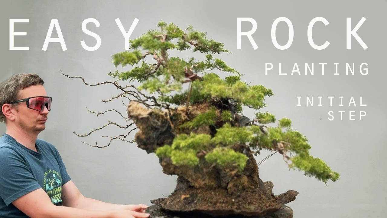 Easy rock planting