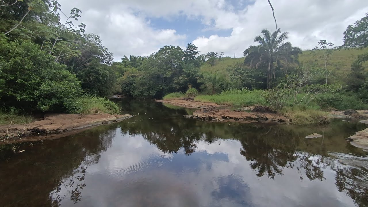 Ilha Fluvial a venda na região de Una/Ba. #ilhasparadisiacas 