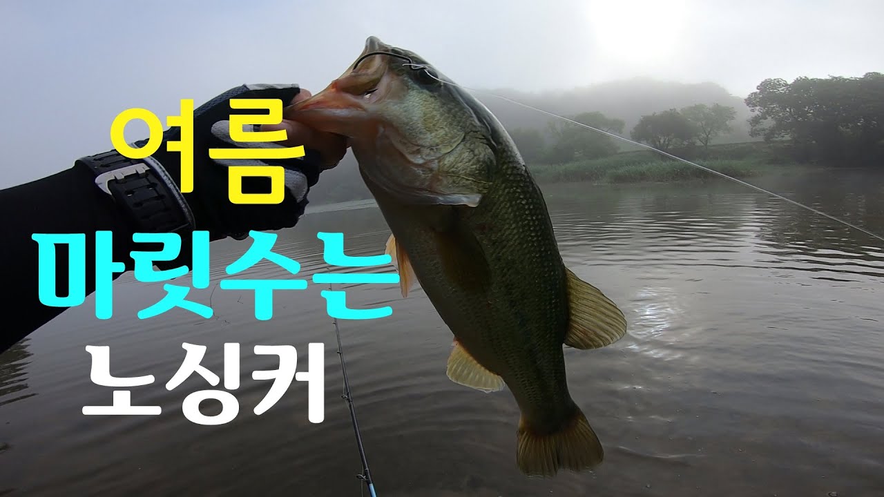 [파워훅킹] 여름 배스 낚시 쉽게 만나는 법은 역시 노싱커