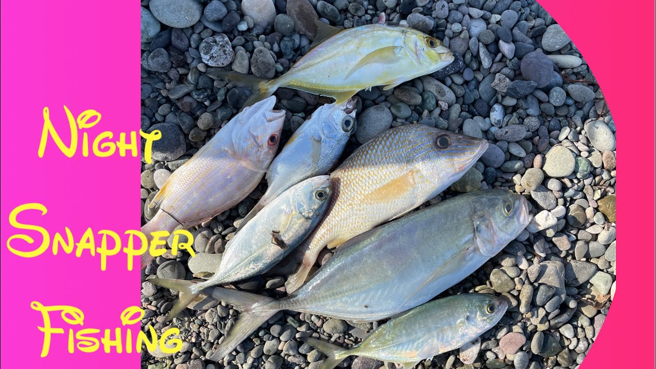 Ночная рыбалка на люциана || Ураган Мелисса серьёзно повлиял на рыбалку 🐟🐠 🇯🇲