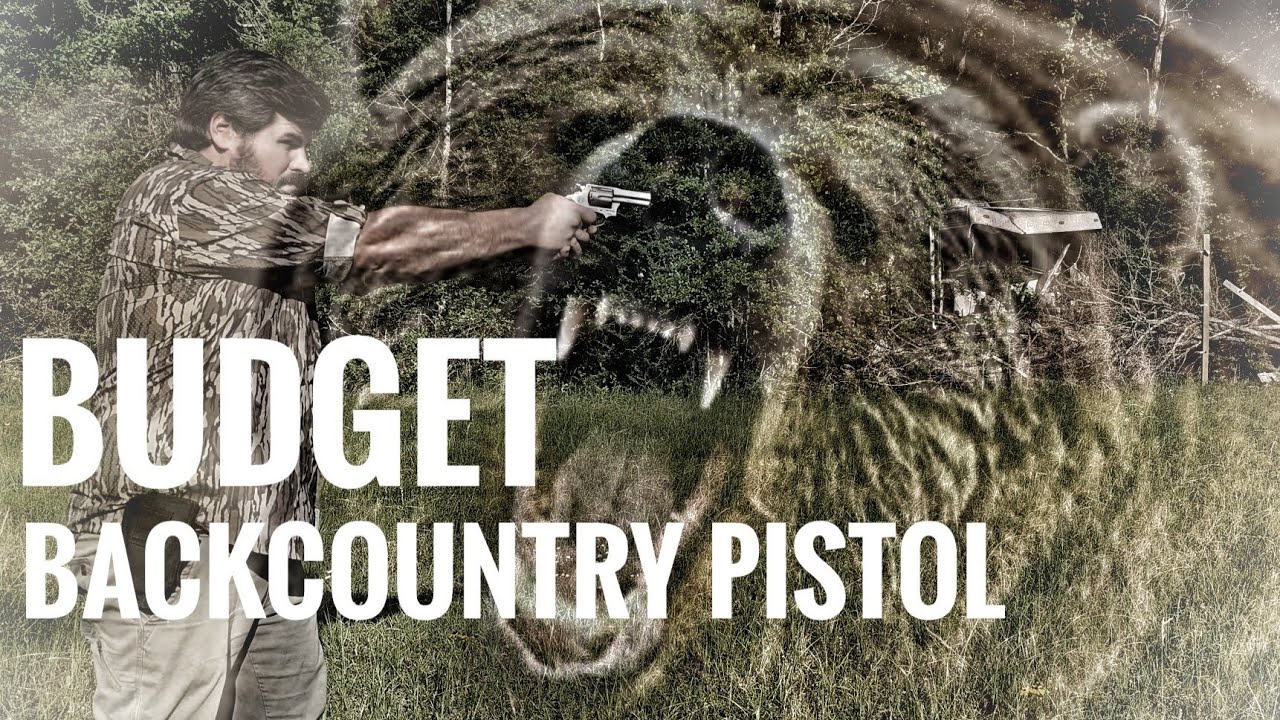 Budget bear protection? 3 reasons to buy Rossi RP63 and 1 reason not!
