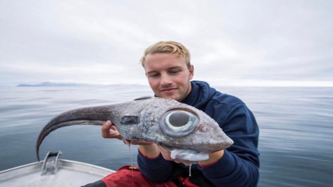 Most INCREDIBLE Deep Sea Catches!