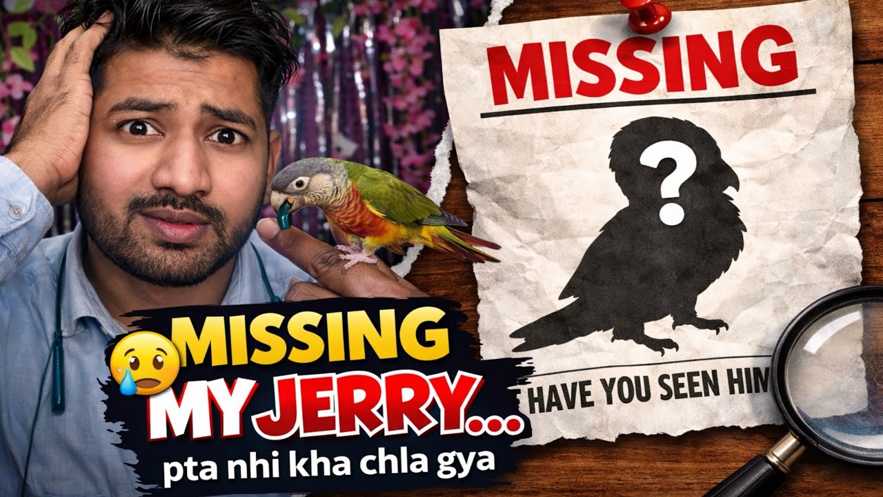 Aaj jerry missing ho gay 