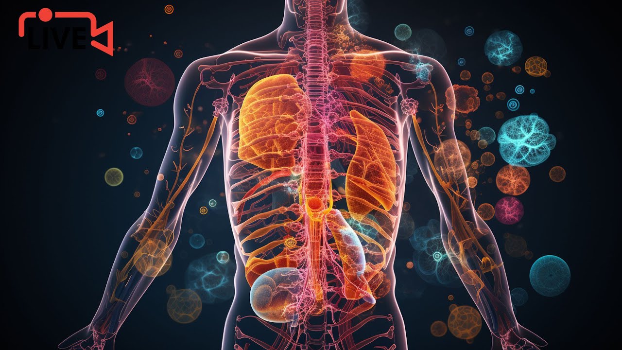 Fr&eacute;quence pour Am&eacute;liorer la Digestion : Dites Adieu aux Probl&egrave;mes Digestifs -Battements Binauraux