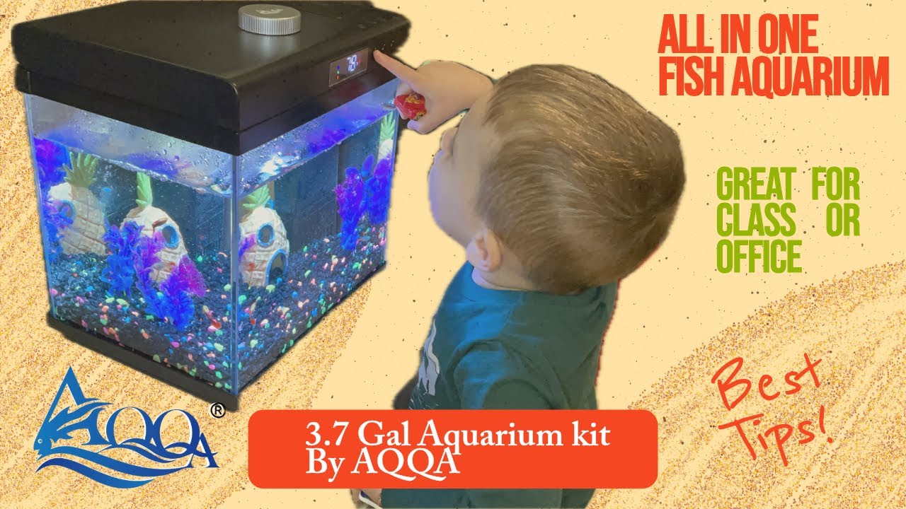 Компактный аквариум, который выглядит дорого.