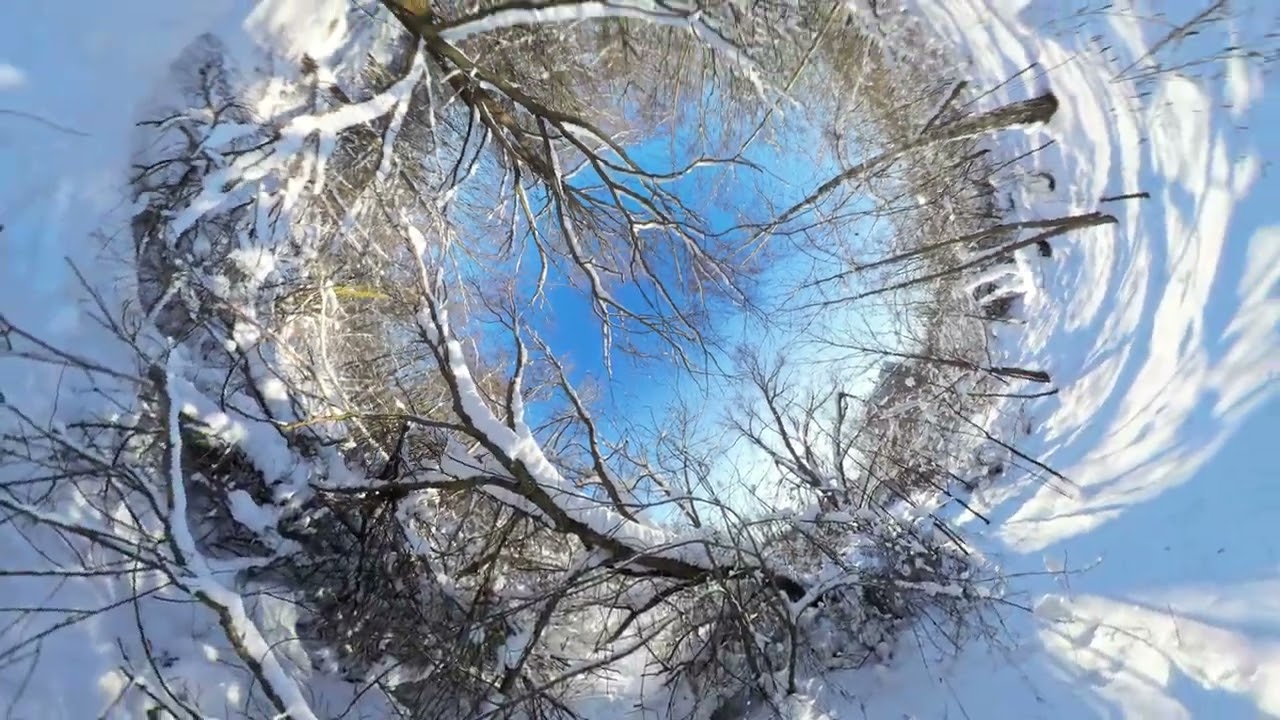 #Гомель 5й мкрн. - зимний лес #HyperLapse #Gomel 4k