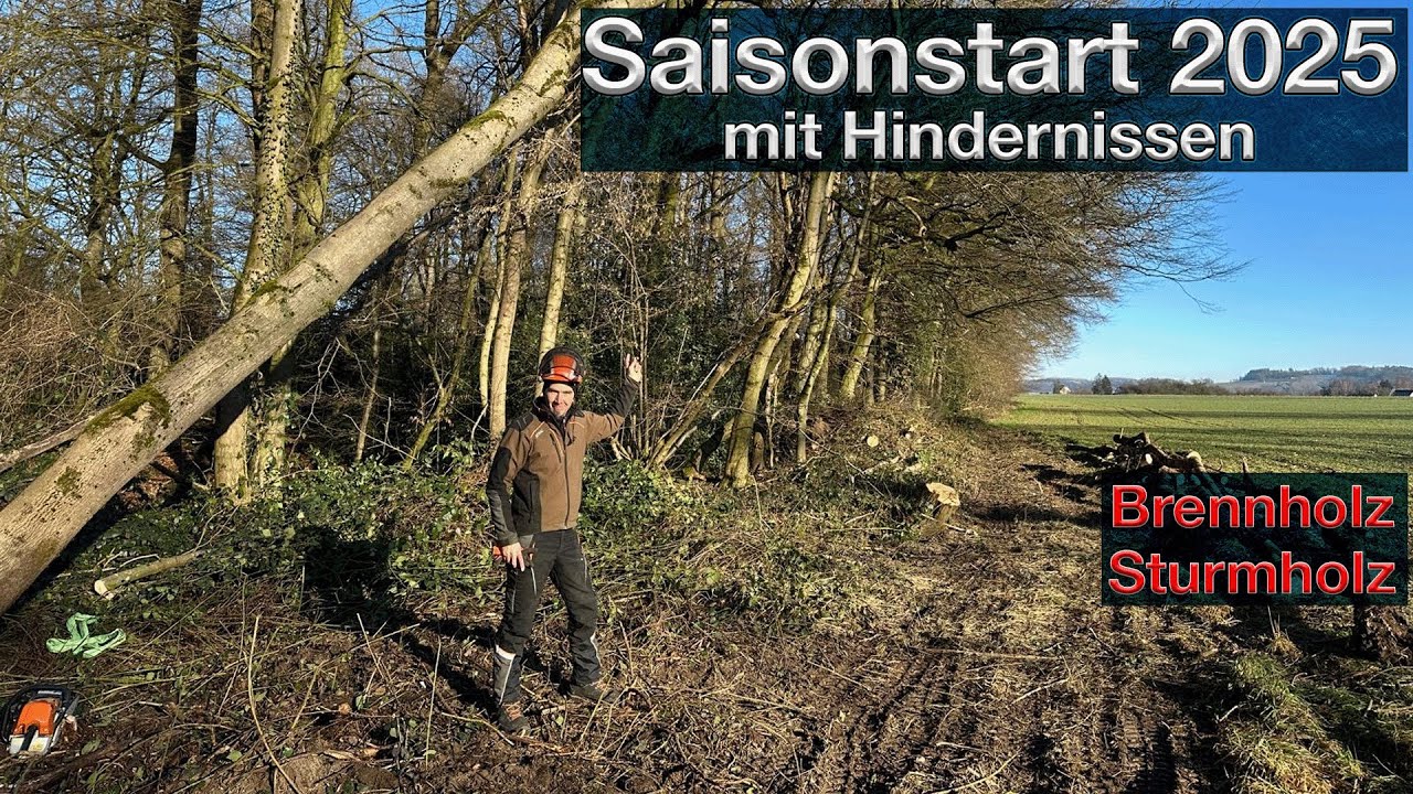 🌲 Sturmholz sicher zu Boden bringen – Ohne Technik und Winde? Keine Chance! 💪