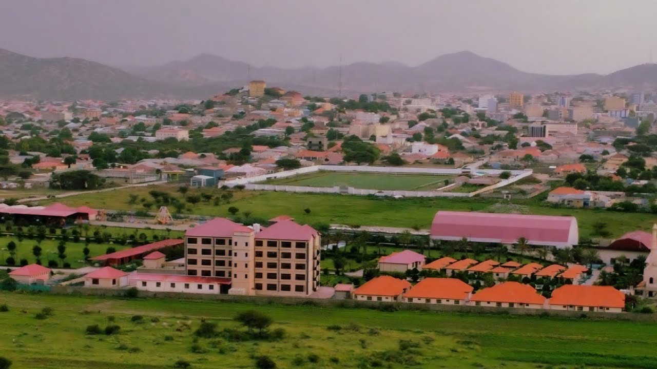 Borama 2025