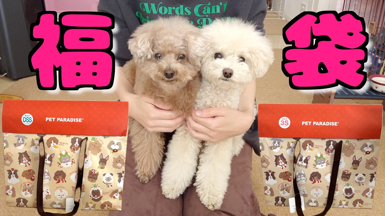 ペットパラダイスの福袋を開封したら大当たりで愛犬が…ｗ【2024年】