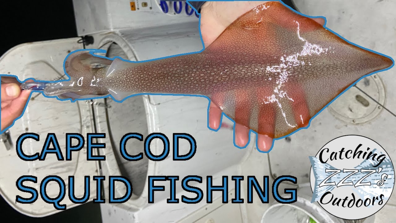 2021 Cape Cod Squid Fishing: Nantucket Sound