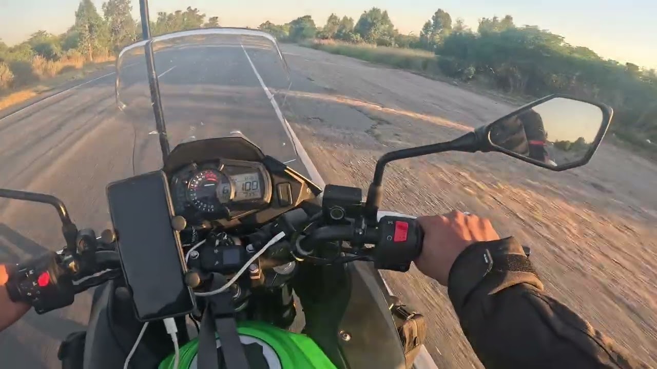 Que lindas rutas 🛣️ de Uruguay 🇺🇾 lleno de campos sembrado de pinos 🌲🌲🌲 todo para la venta