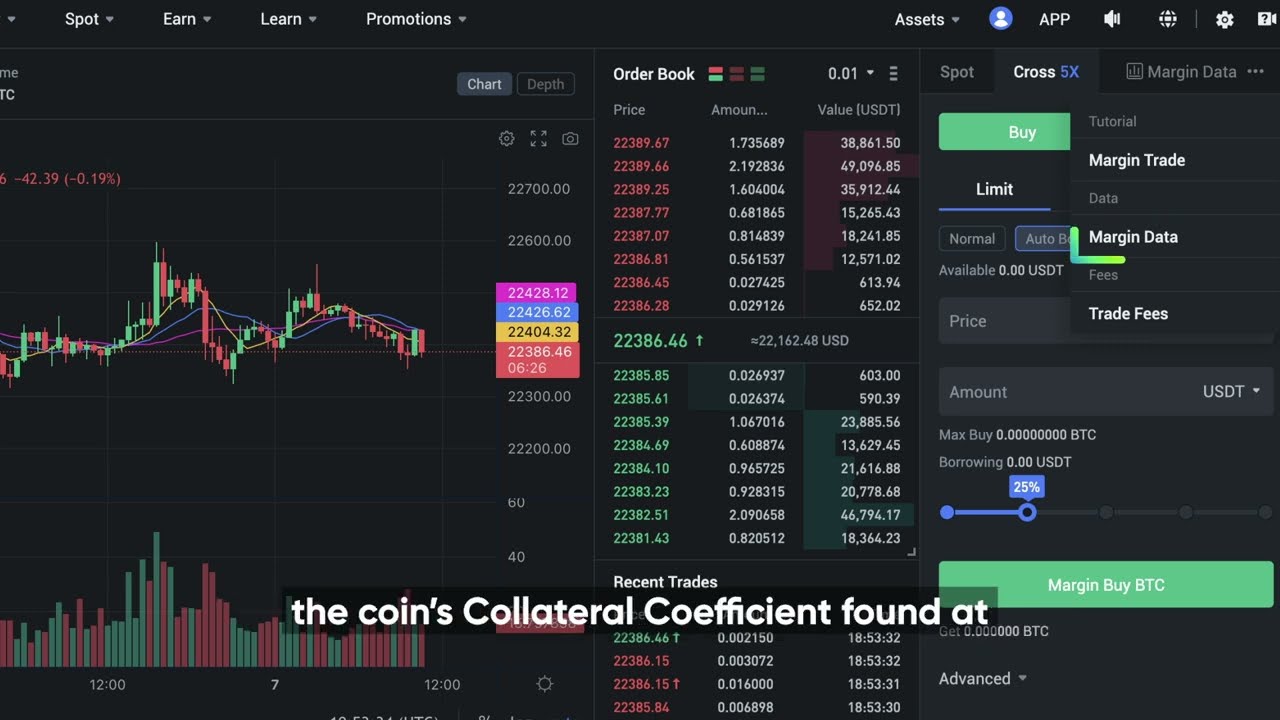 Phemex Margin Trading Tutorial