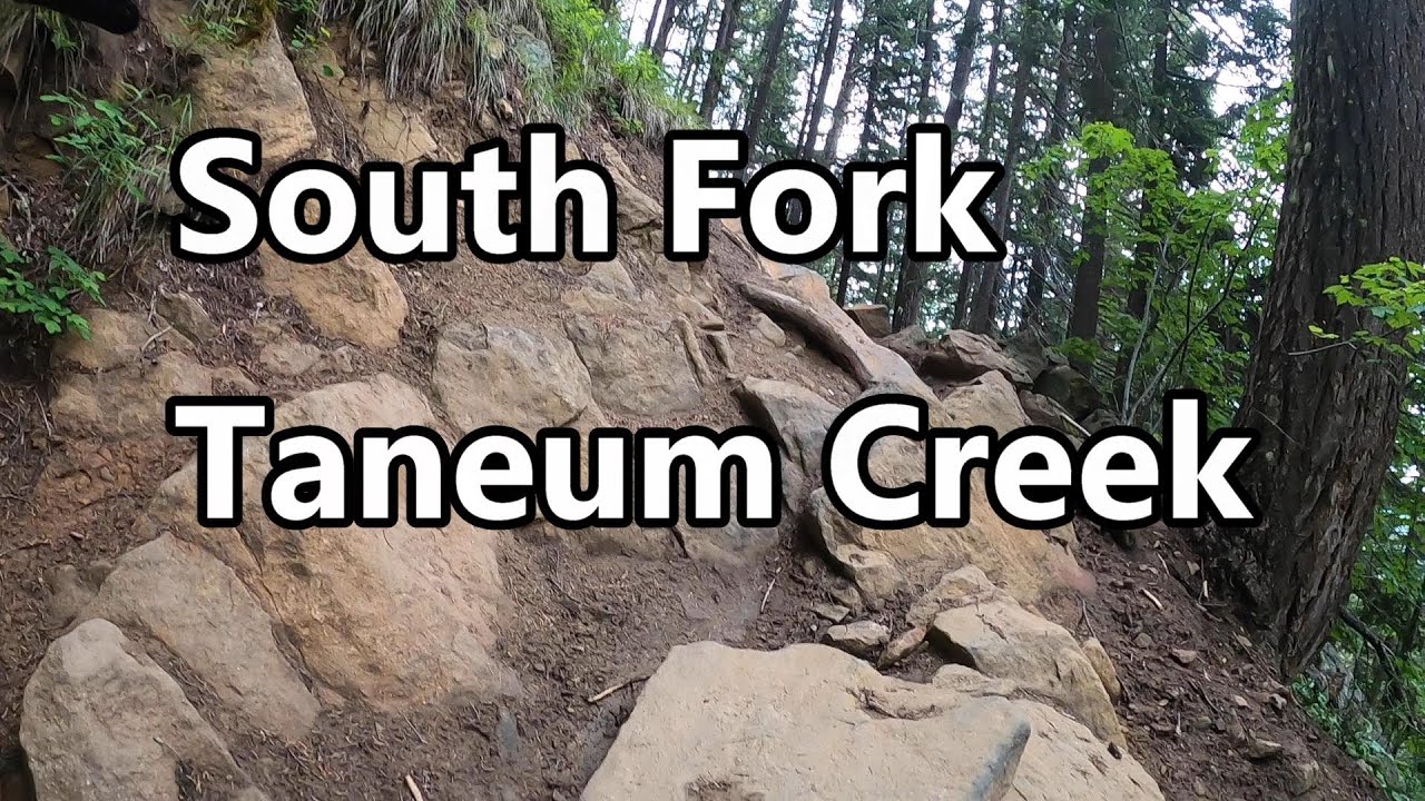 South Fork Taneum Creek