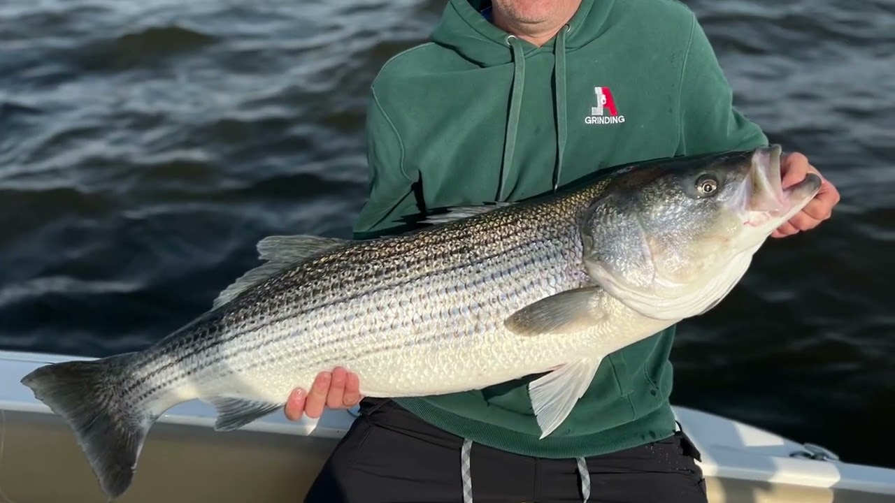 Raritan Bay Striper, Fluke( “secret”spot revealed) 5-20-22