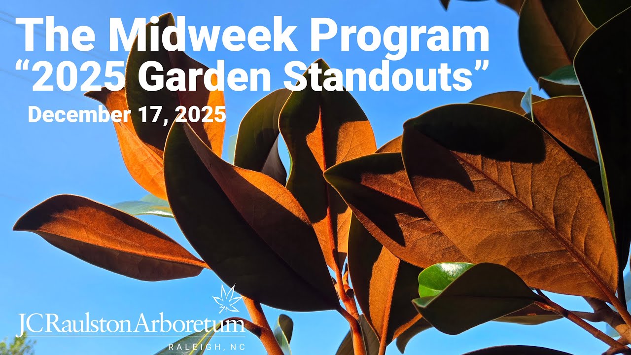 2025 Garden Standouts
