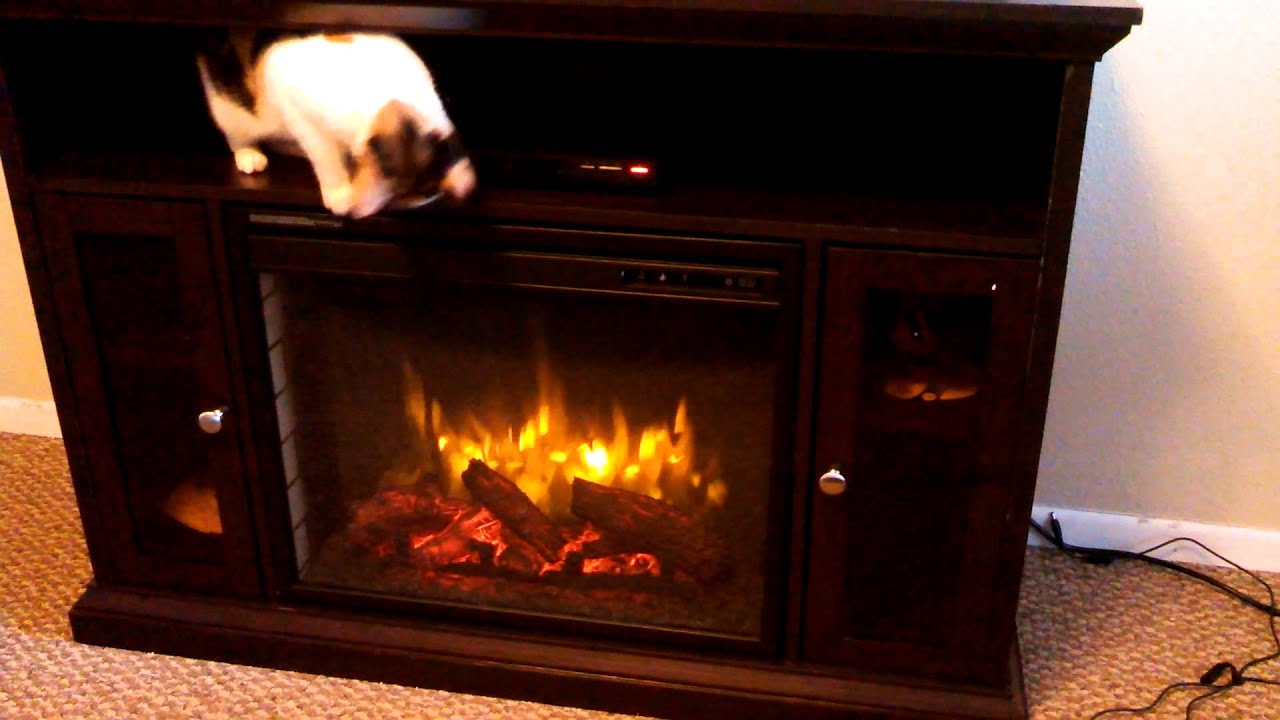 Pleasant Hearth Riley Espresso 23