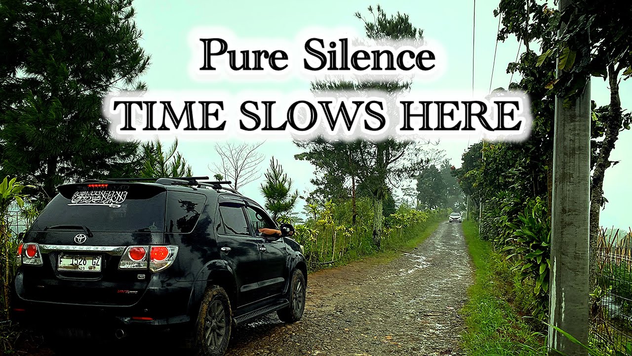 A Place Where Time Slows Down | Cold Mountain Nature Gunung Halimun, Bogor