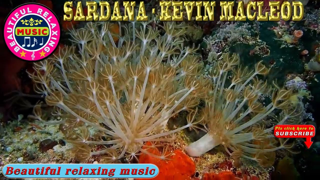 🎵 Beautiful Relaxing Music || Sardana - Kevin MacLeod || Beautiful Relaxing Music Channel.