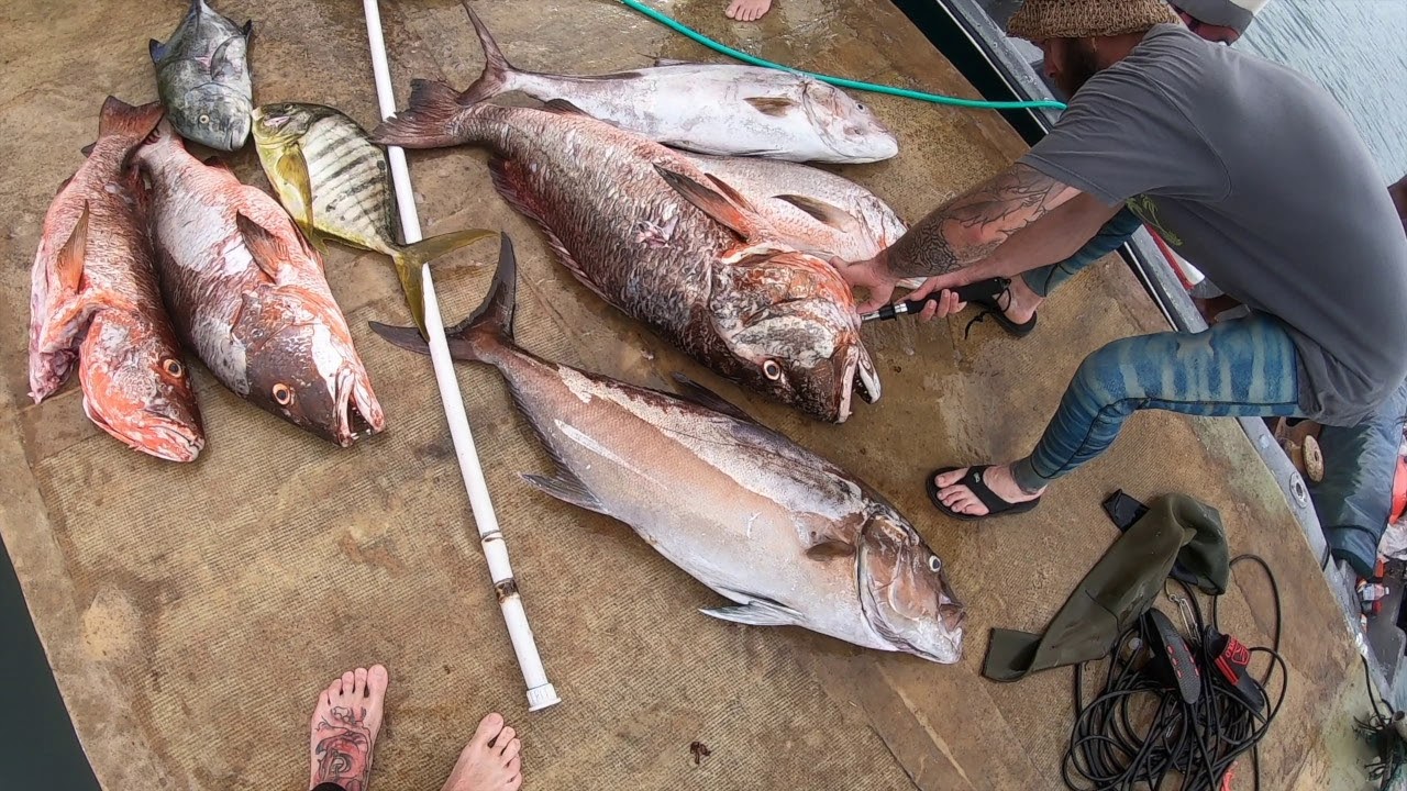 Spearfishing Panama 2019