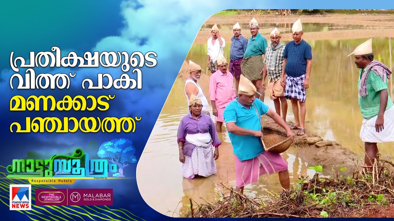 Idukki| manakkad| തരിശുവയലുകളില്&zwj; പ്രതീക്ഷയുടെ വിത്തുകള്&zwj;; മണക്കാടിന്&zwj;റെ വികസനസൂത്രം