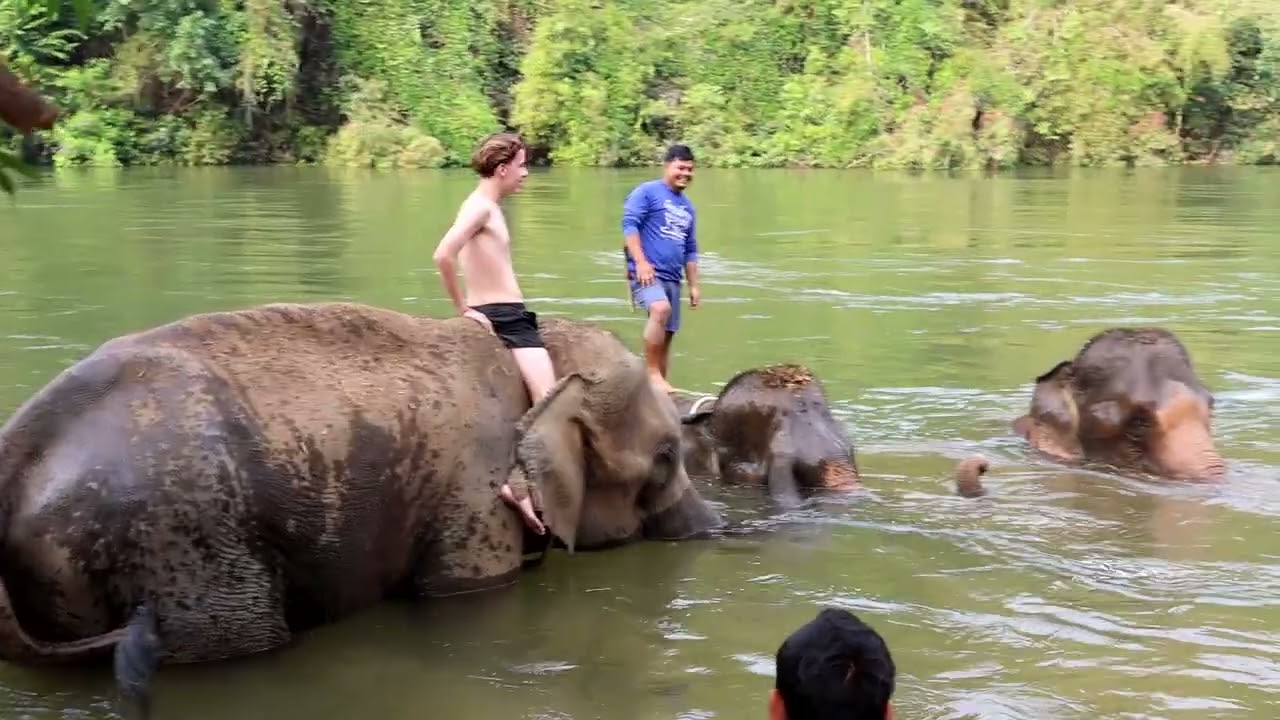 RUSH Elephant’s Home and Nature  KANCHANABURI THAÏLANDE
