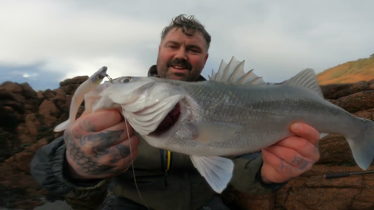 THEY ONLY WANTED a SAVAGE GEAR - SPRING IS IN THE AIR - LURE FISHING IN SPRING ROBALO LUBINA