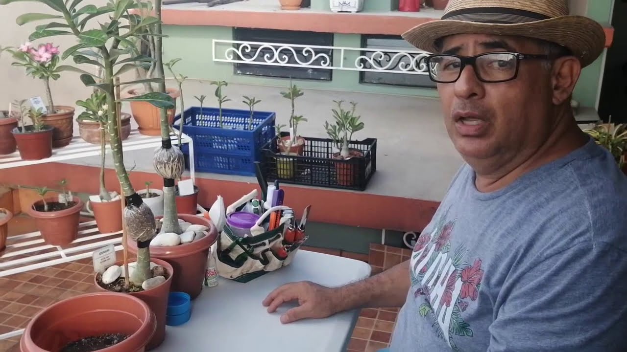 SEGUIMIENTO DE ACODOS AÉREO JUL 2020