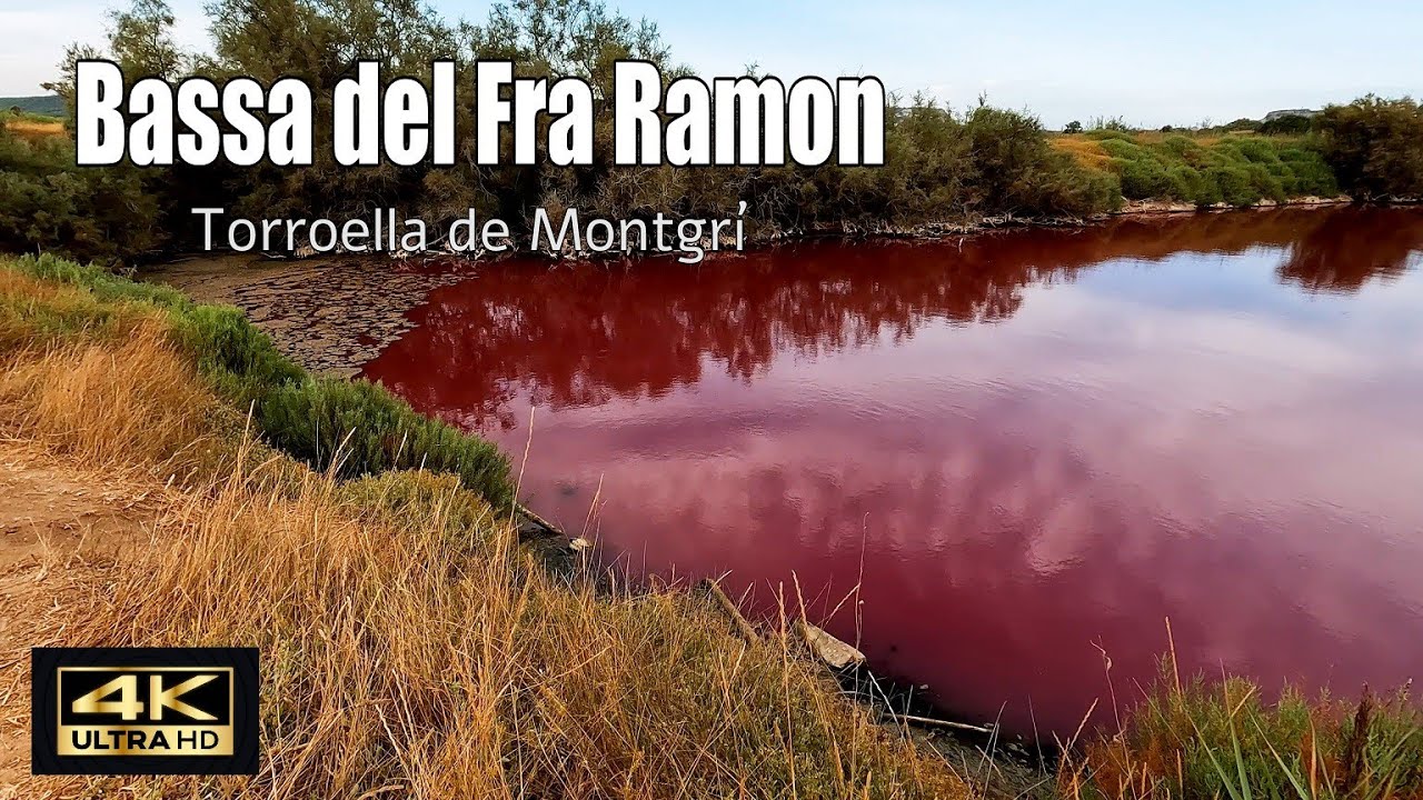 La Bassa del Fra Ramon. Torroella de Montgrí