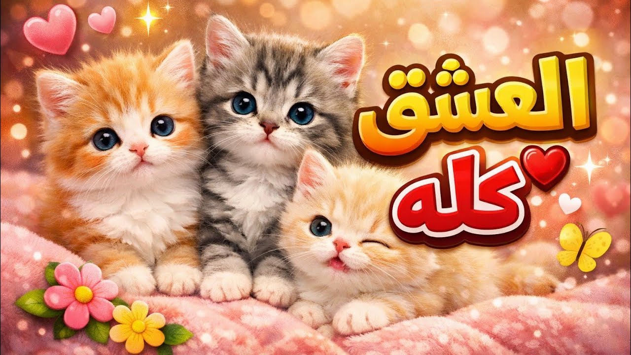 حبيبي الصغننين روح قلبي كبروا ما شاء الله ....