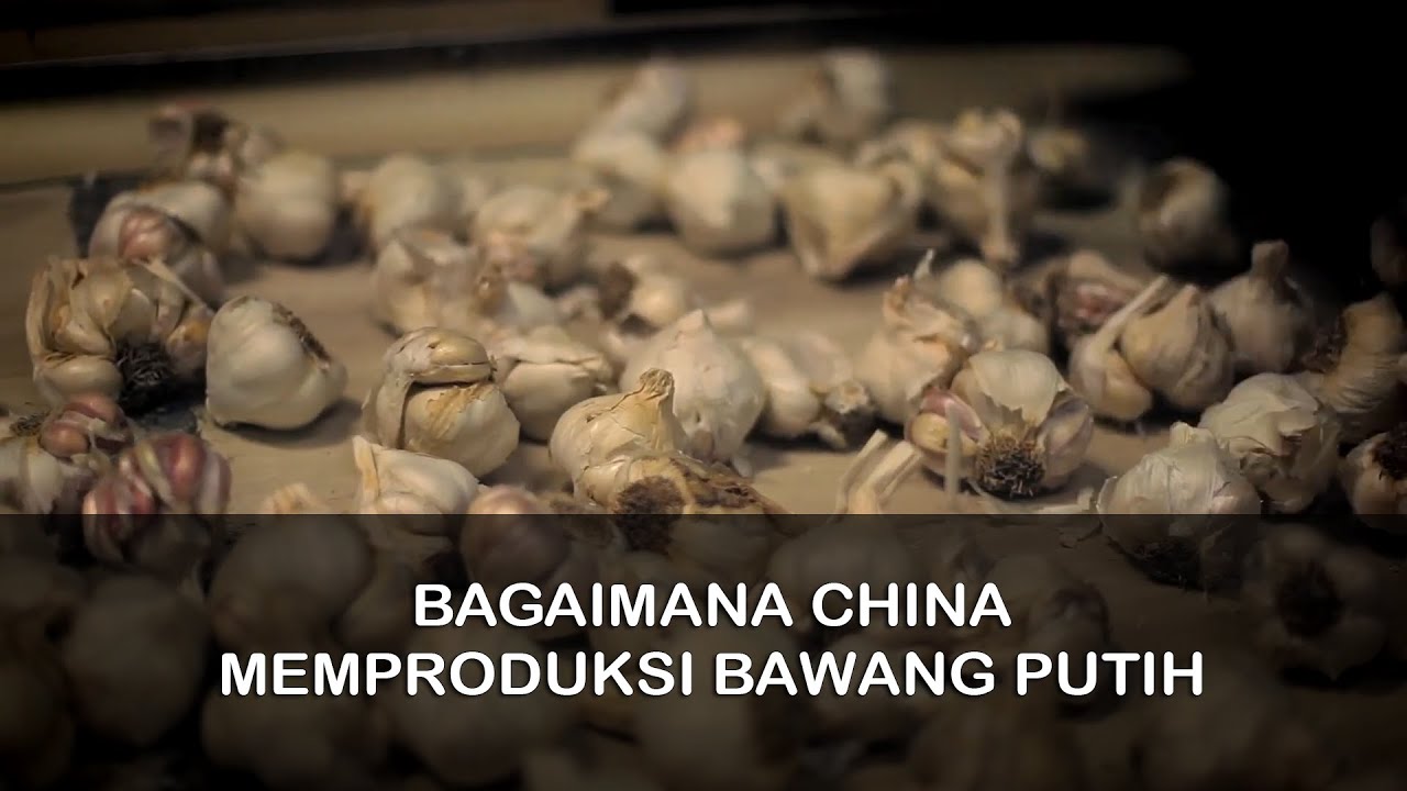 Kenapa Dunia Bergantung pada Bawang Putih dari China ?