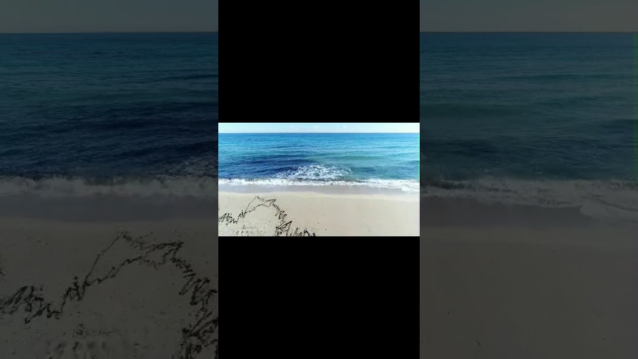 Oceanic beauty.